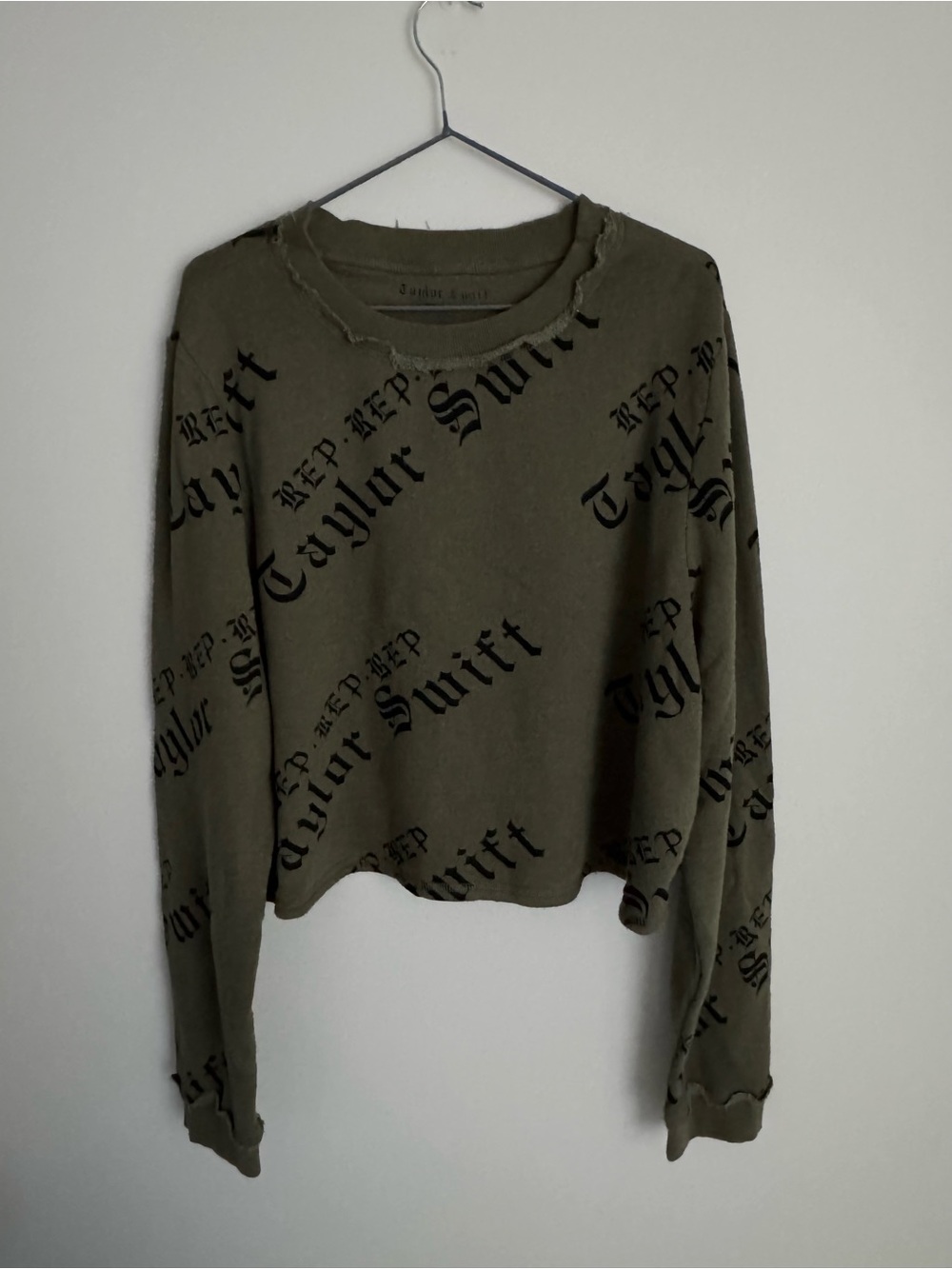 Taylor Swift Reputation Era Cropped Green Sweater